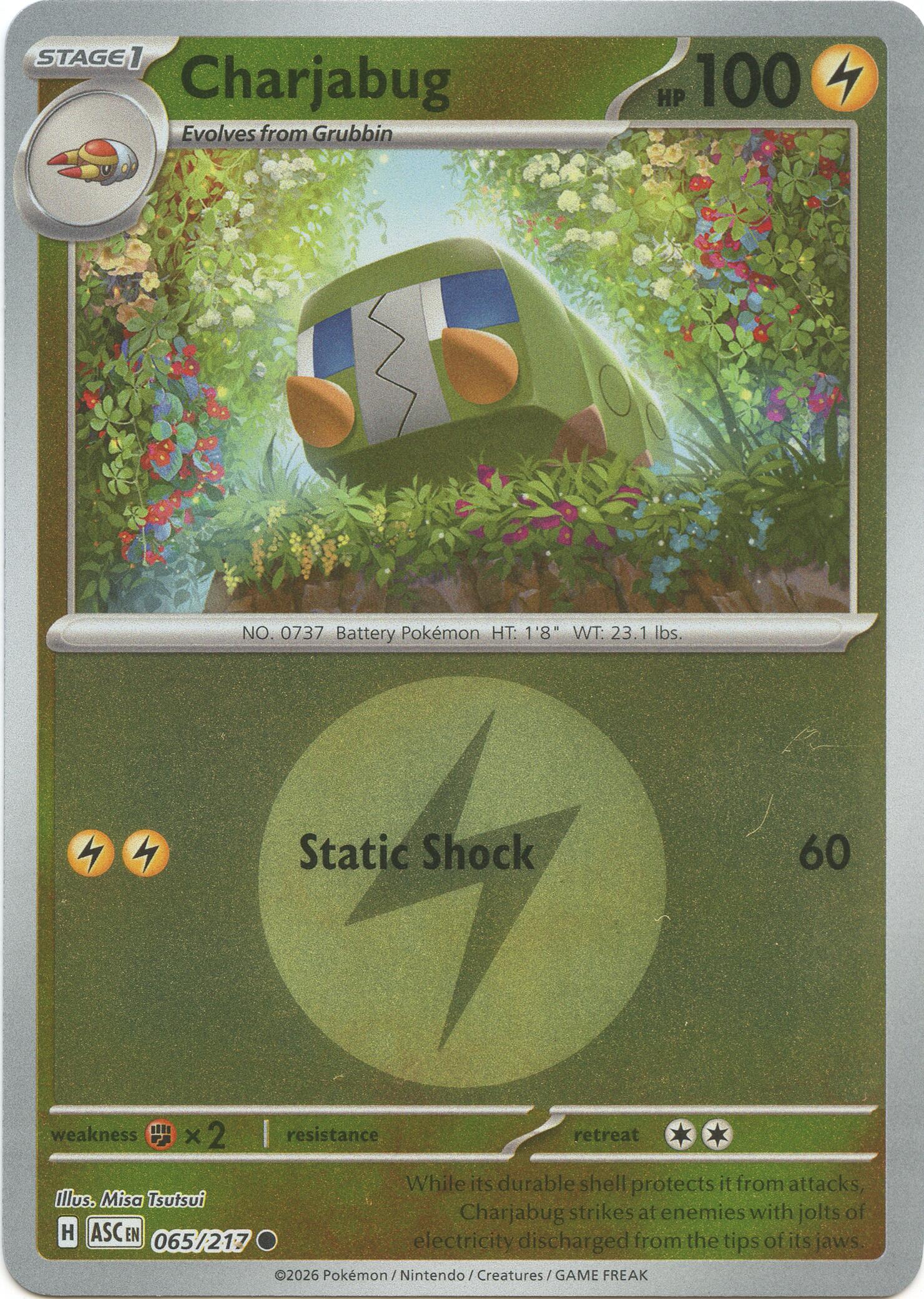 ME: Ascended Heroes #065/217 Charjabug (Energy Symbol Pattern)